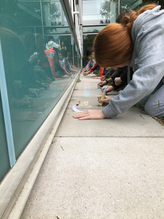 Befreiung KZ Mauthausen