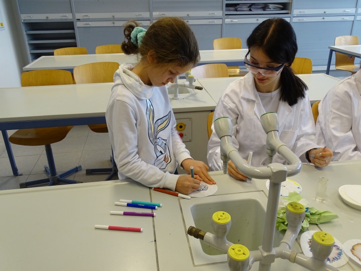 Tag der offenen Tür